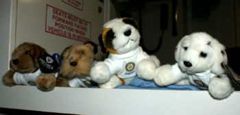 ascot rotary cuddly toys for traumatised children